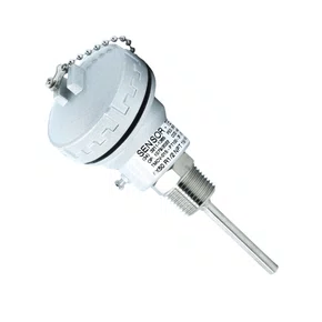 4469 - Sensor Tipo PT100 3F 6X50mm R 1/2NPT 316 KSC 1,0M PVC