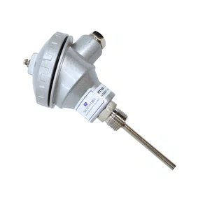 MI25551/20 - Sensor Tipo PT100 3F 6X250mm R 1/2BSP KNC